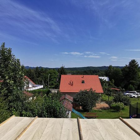 Appartement Bieszczadzki Hals - Dom Blizniak à Polańczyk Chambre photo